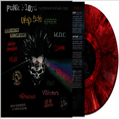 Tribute To Pink Floyd — Punk Floyd - A Tribute To Pink Floyd 앨범 커버