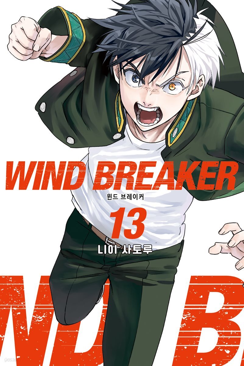 WIND BREAKER 13권