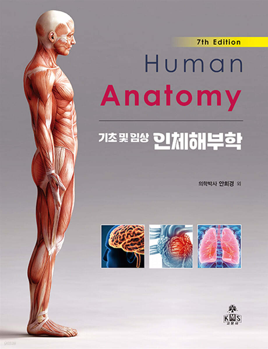 인체해부학