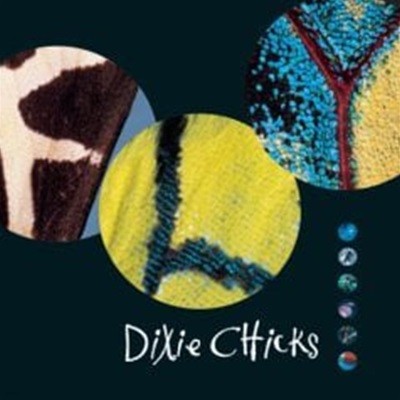 Dixie Chicks / Fly ()