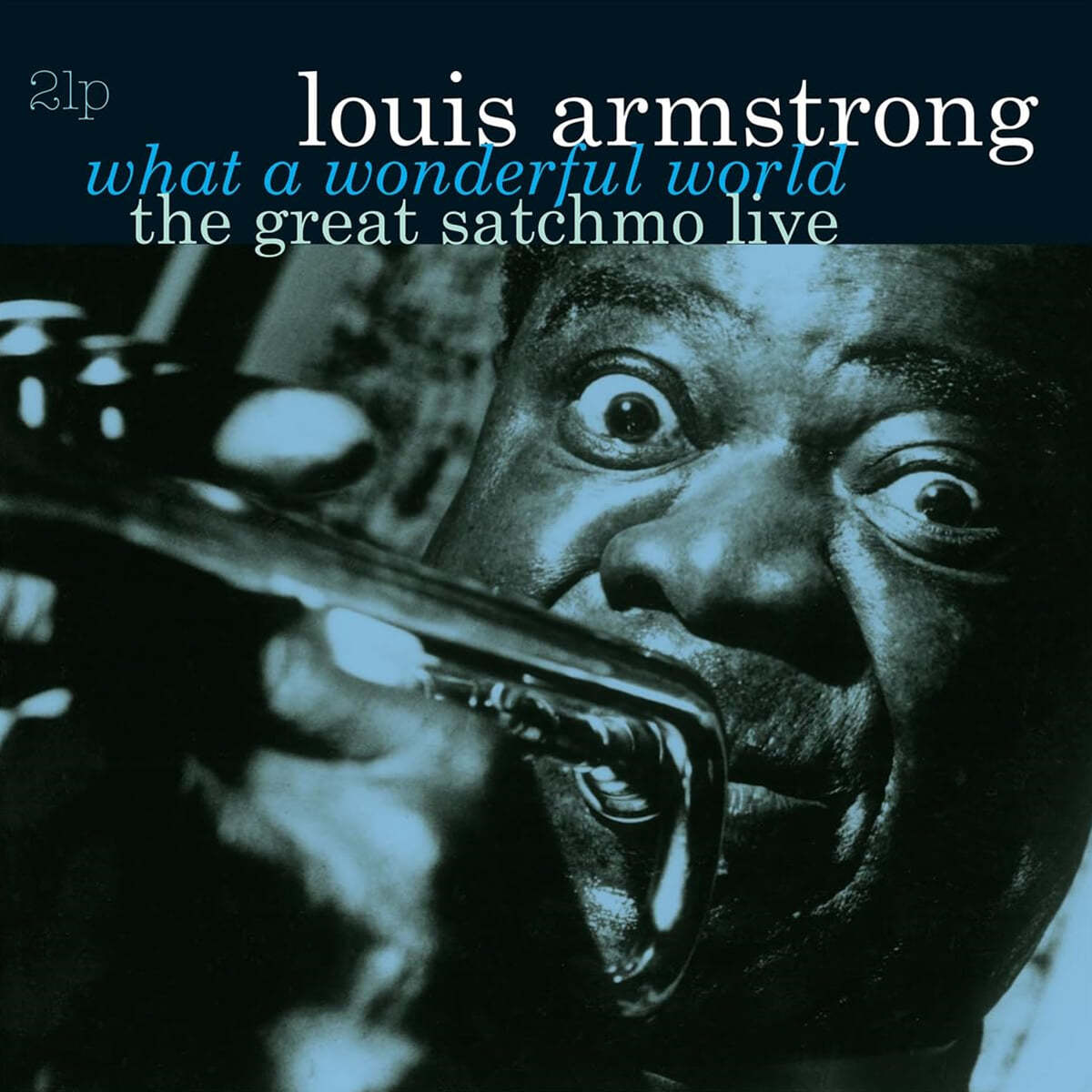 Louis Armstrong (루이 암스트롱) - Great Satchmo Live [스카이 블루 마블 컬러 2LP]