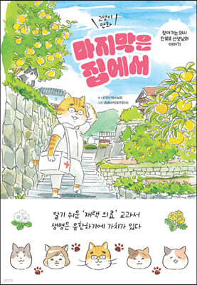 마지막은 집에서 (큰글자도서)