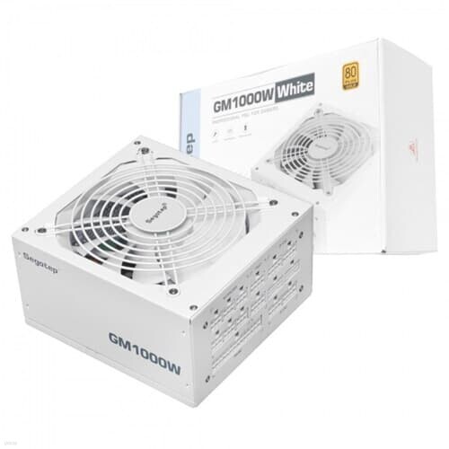 Segotep GM1000W GOLD 풀모듈러 ATX 3.1 (PCIE5.1) W