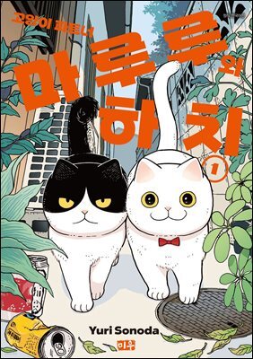 책 정보