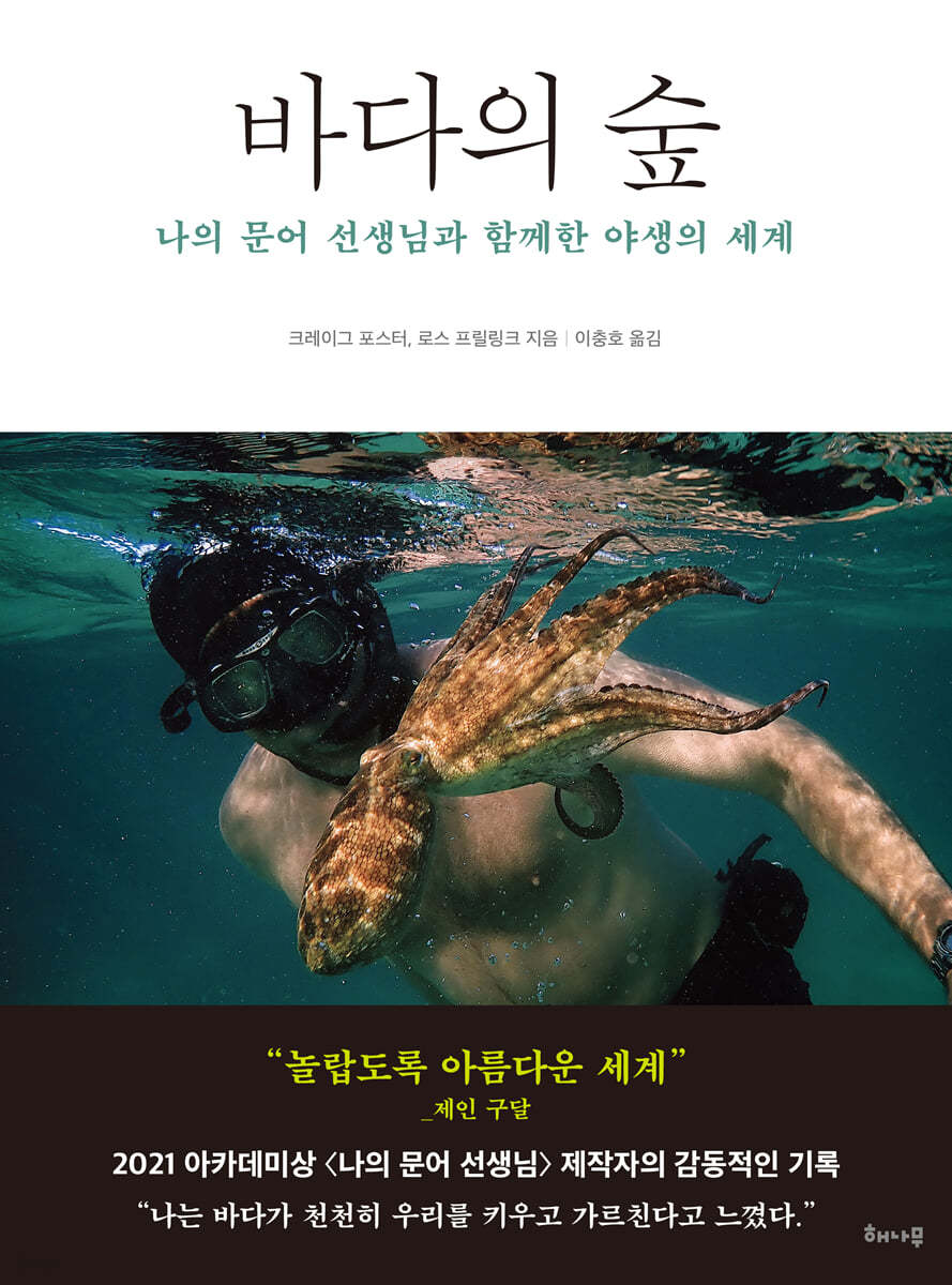 바다의 숲