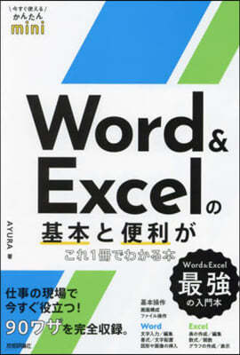 Word&Excelת1