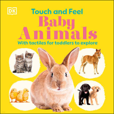 Touch and Feel Baby Animals: With Tactiles for Toddlers to Explore