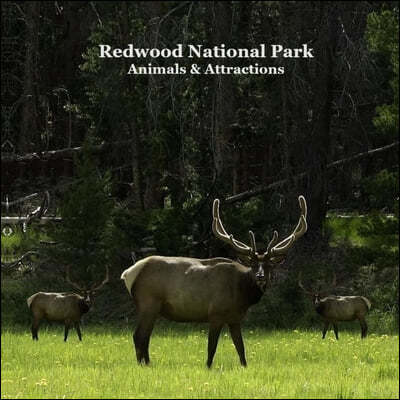Redwood National Park Animals and Attractions Kids Book: Great Way for Children to See Redwood National and State Parks