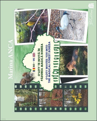 Blinkline Books O'Loty te invit? in p?durea magic? Boreea: O'Loty invites you into the magical forest Boreea