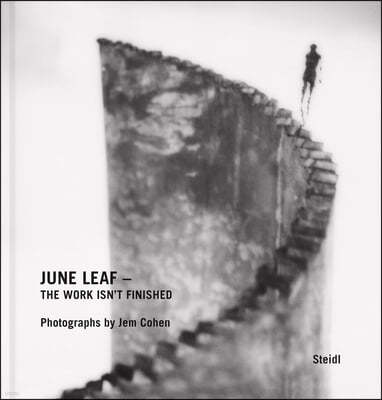 June Leaf: The Work Isn't Finished: Photographs by Jem Cohen