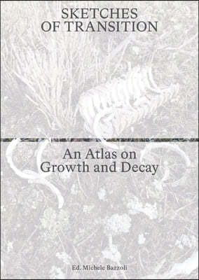 Sketches of Transition: An Atlas on Growth and Decay