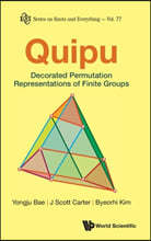 Quipu: Decorated Permutation Representations of Finite Groups