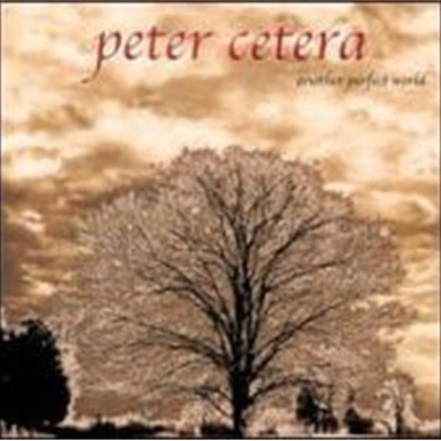 Peter Cetera / Another Perfect World ()