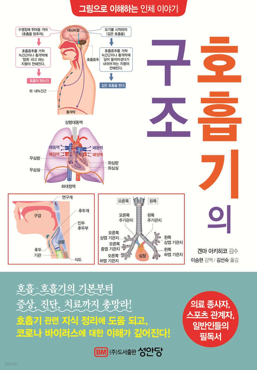 호흡기의 구조