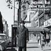 Shigeaki Sai ( ÿŰ) - New York-Forever In My Heart- [LP]