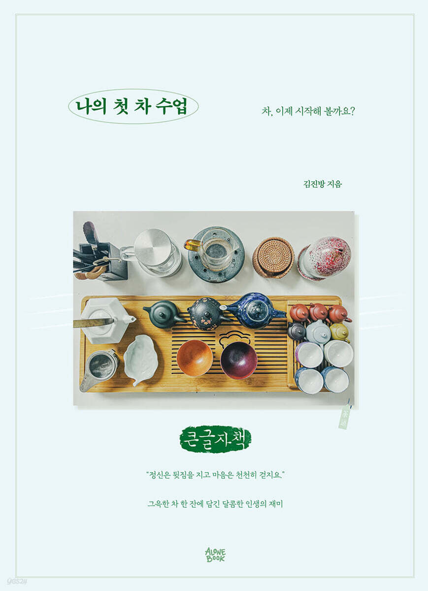 나의 첫 차 수업 (큰글자책)