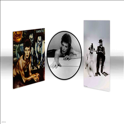 David Bowie — Diamond Dogs (Limited 50th Anniversary Edition) 앨범 커버