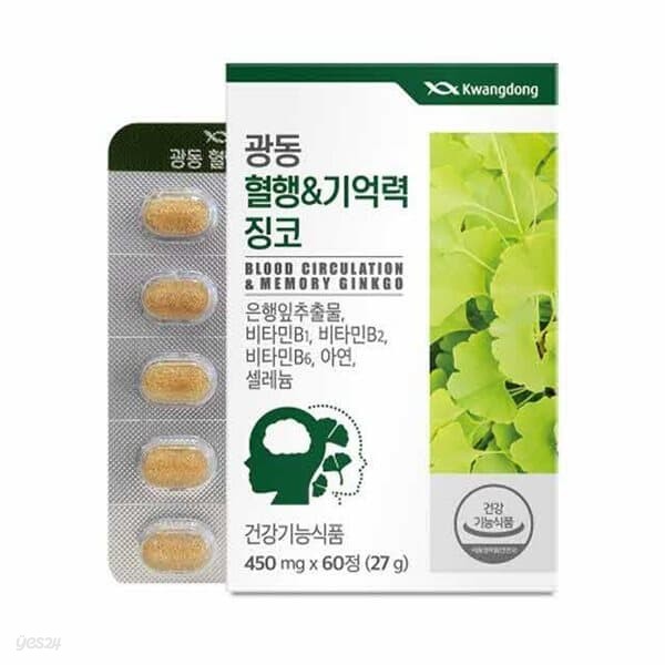 광동 혈행&기억력 징코 450mg x 60정