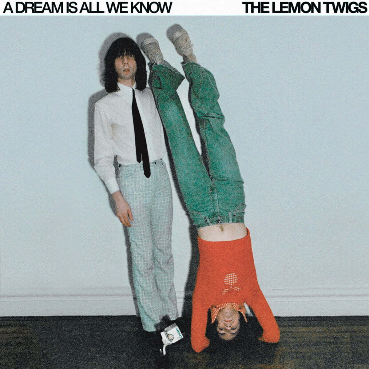 The Lemon Twigs (레몬 트윅스) - A Dream Is All We Know