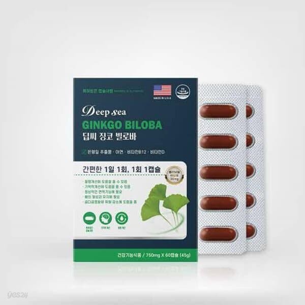 딥씨 징코 빌로바 750mg x 60캡슐