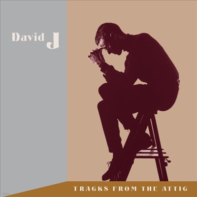 David J - Tracks From The Attic (3CD)