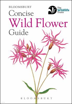 Concise Wild Flower Guide