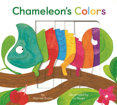 Chameleons Colours