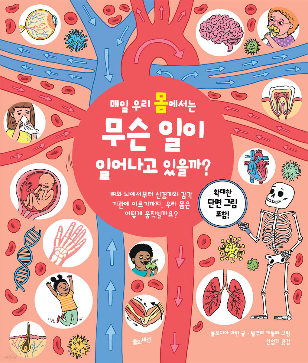 매일 우리 몸에서는 무슨 일이 일어나고 있을까?