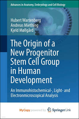 The Origin of a New Progenitor Stem Cell Group in Human Development