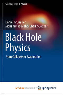 Black Hole Physics