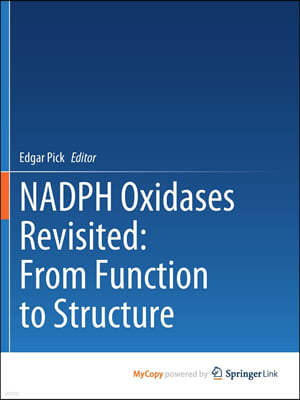 NADPH Oxidases Revisited