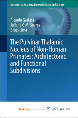 The Pulvinar Thalamic Nucleus of Non-Human Primates