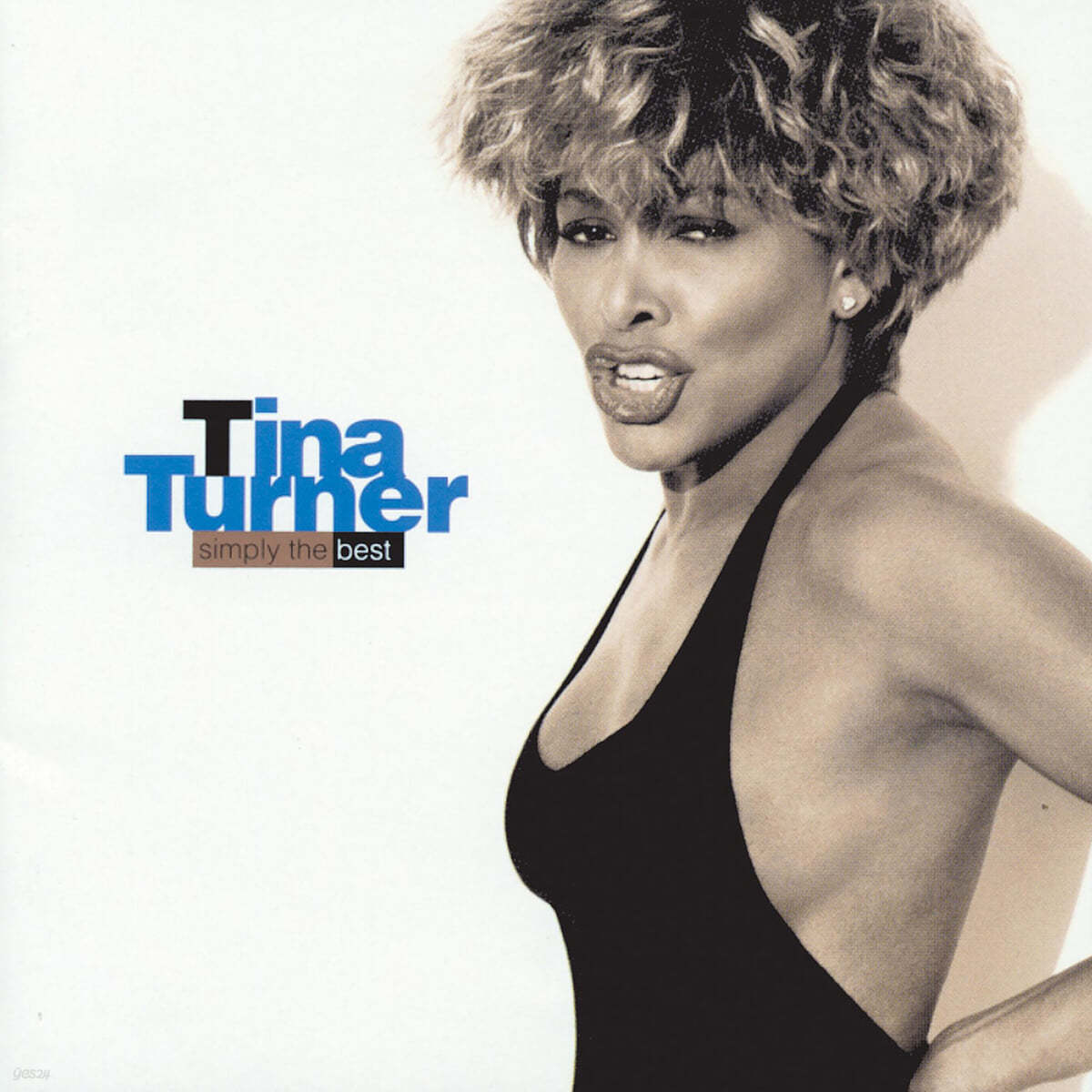 Tina Turner (티나 터너)  - Simply the Best [블루 컬러 LP] 