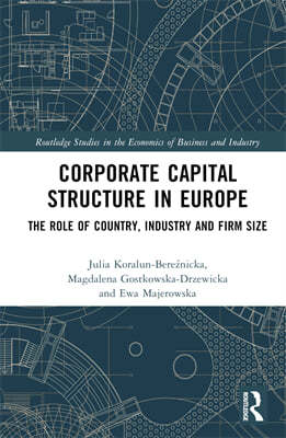 Corporate Capital Structure in Europe: The Role of Country, Industry and Firm Size