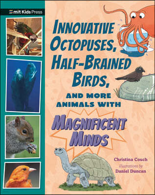 Innovative Octopuses, Half-Brained Birds, and More Animals with Magnificent Minds