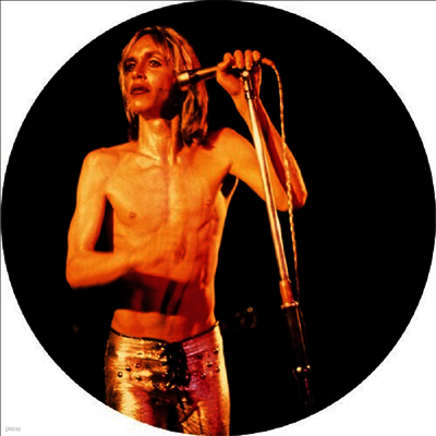 Iggy & The Stooges — More Power (Reissue) 앨범 커버