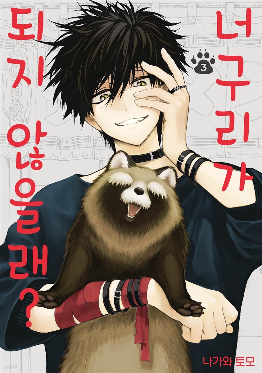 너구리가 되지 않을래? 03권