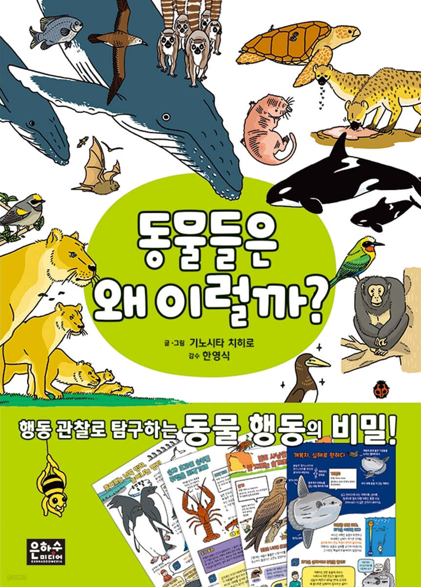 동물들은 왜 이럴까?