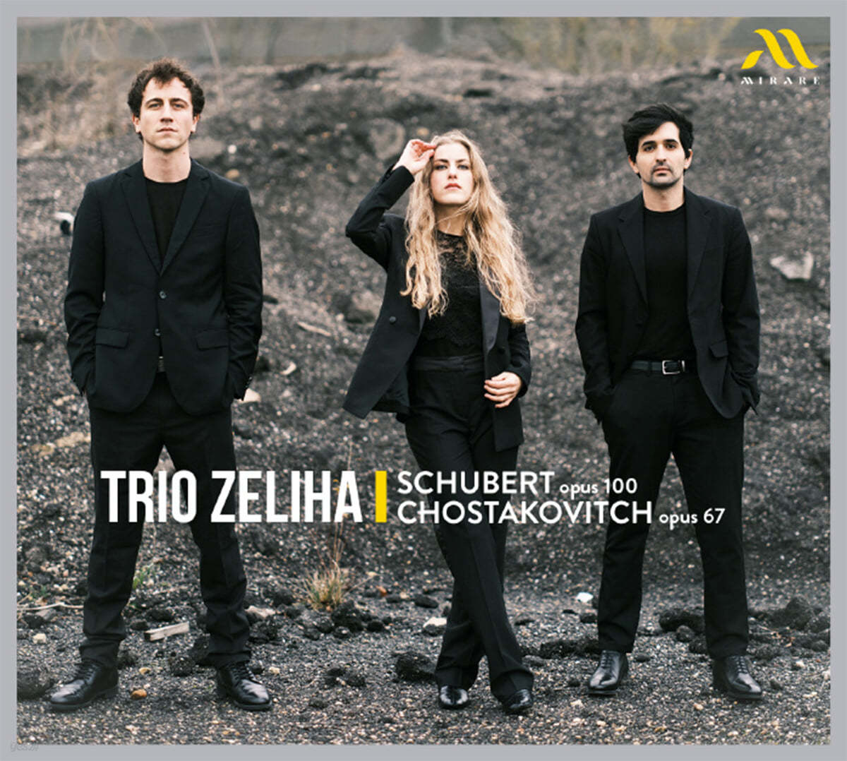 Trio Zeliha 슈베르트: 피아노 트리오 / 쇼스타코비치: 피아노 트리오 2번 (Schubert: Piano Trio Op. 100 / Chostakovitch: Piano Trio Op. 67)