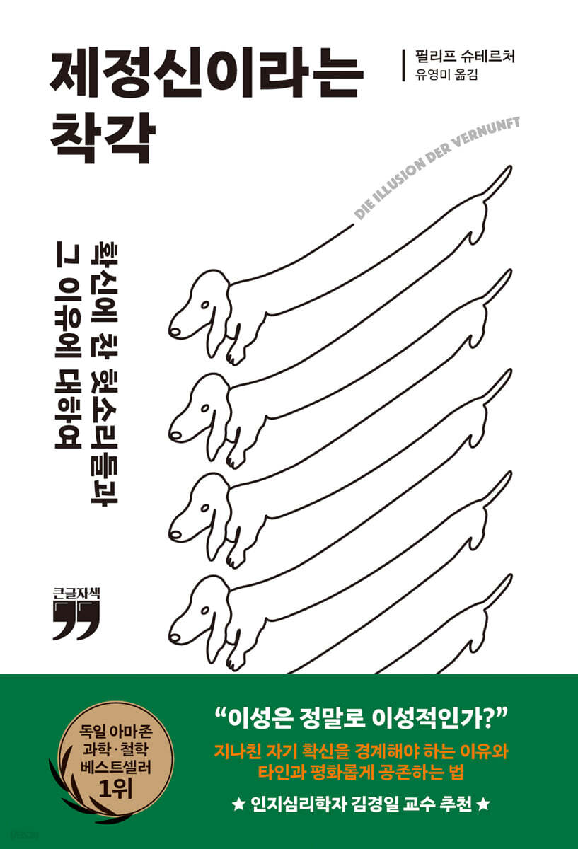 제정신이라는 착각 (큰글자책)