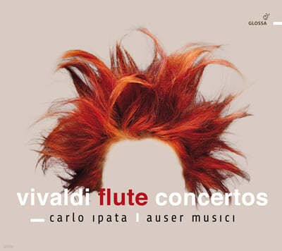 Carlo Ipata / Auser Musici ߵ: ÷Ʈ ְ RV439 '', RV428 'ȫ', RV433 'ٴ ǳ'  (Vivaldi: Flute Concertos)