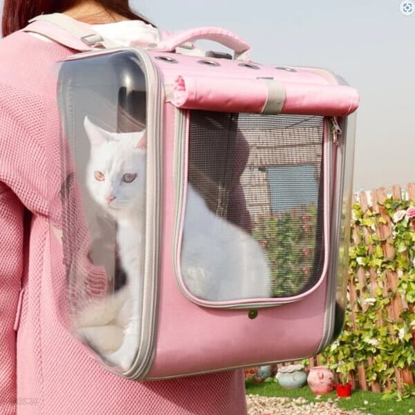 강아지 고양이 투명 캡슐 백팩 접이식 이동가방