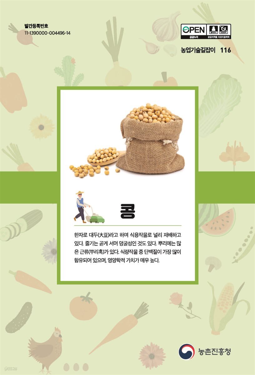 콩 (개정7판)