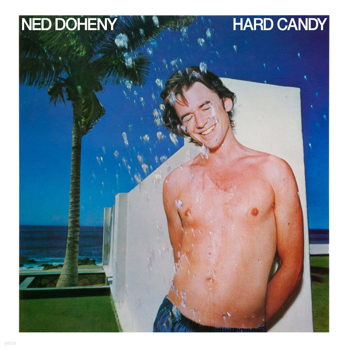 Ned Doheny (네드 도헤니) - Hard Candy [LP]