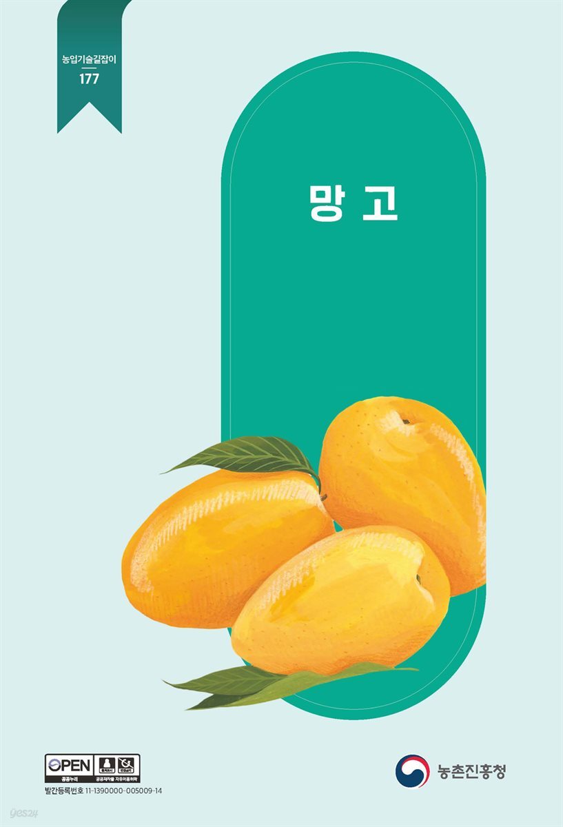 망고 (개정2판)
