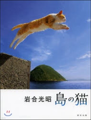 岩合光昭 島の猫