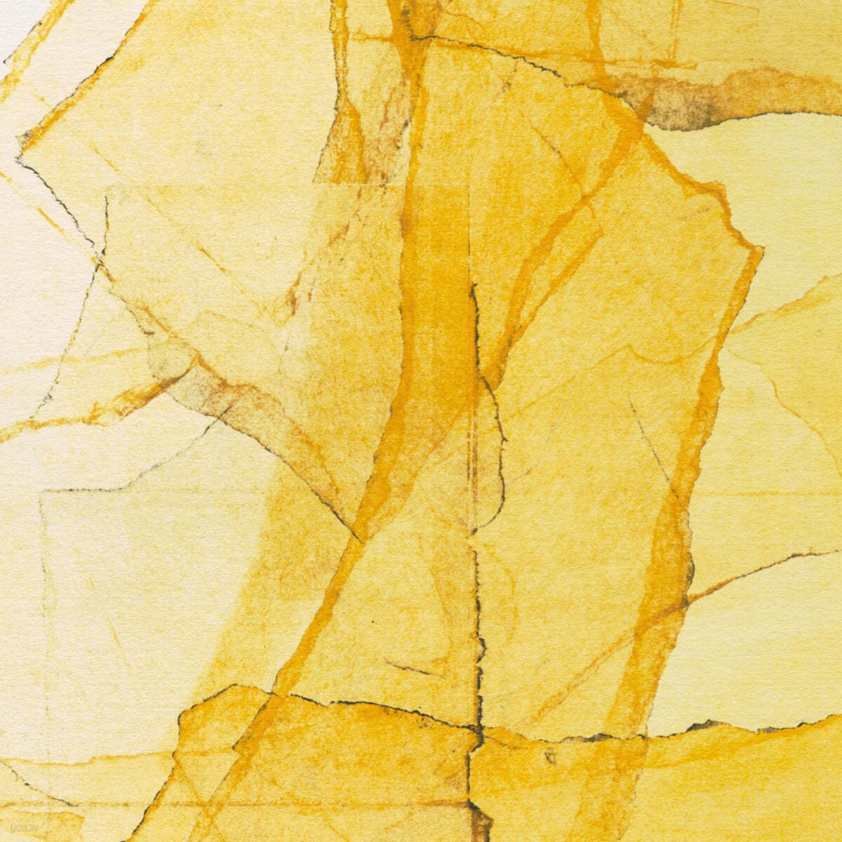 Wadada Leo Smith / Amina Claudine Myers (레오 스미스 / 아미나 클로딘 마이어스) - Central Park&#39;s mosaics of reservoir, lake, paths and gardens [투명 컬러 LP]