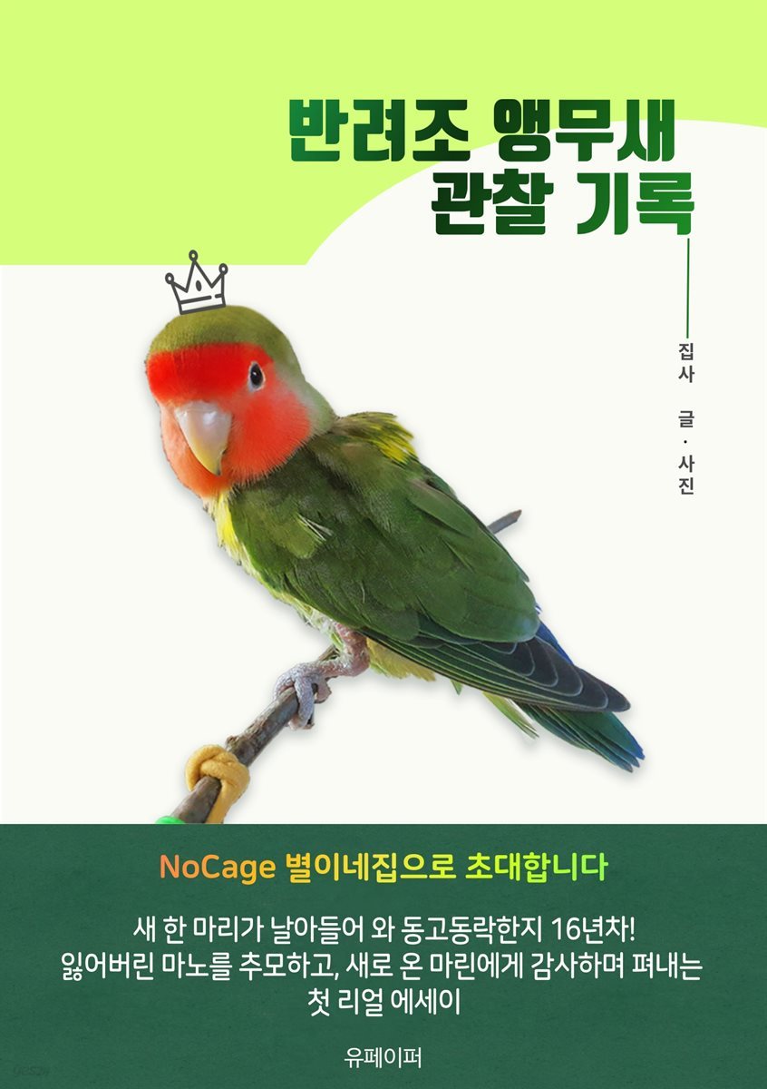 반려조 앵무새 관찰기록 