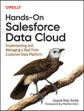 Hands-On Salesforce Data Cloud: Implementing and Managing a Real-Time Customer Data Platform