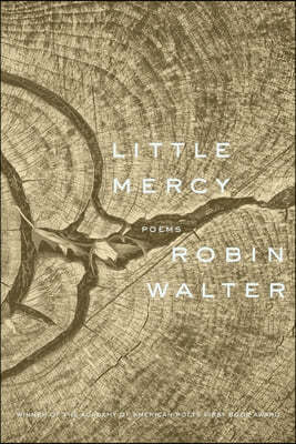 Little Mercy: Poems